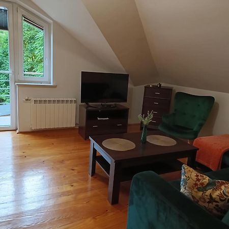 Appartement Apartament Sosnowa à Krasnobród Extérieur photo