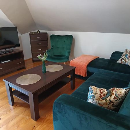 Appartement Apartament Sosnowa à Krasnobród Extérieur photo